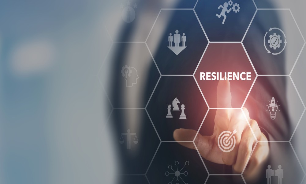 Building Organizational Resilience: How Strong Companies Adapt and Grow